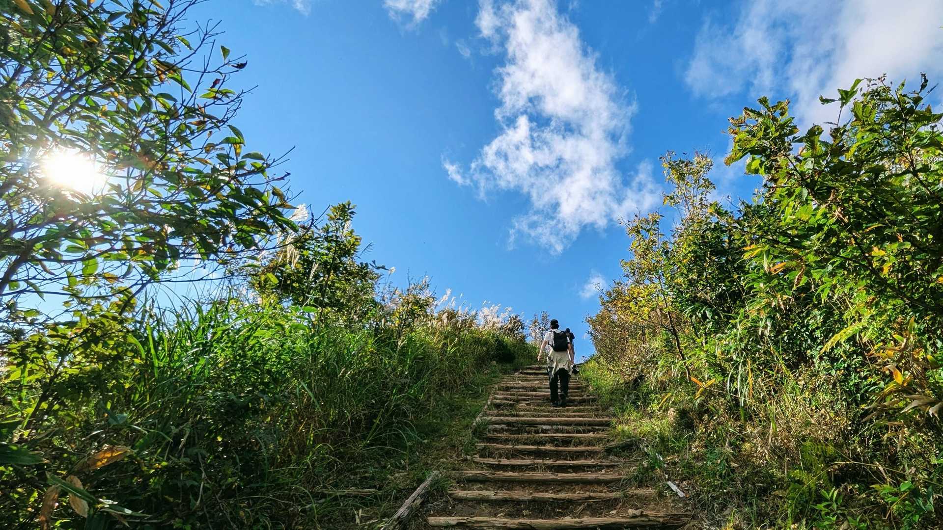 鉢伏山 往復コースの写真