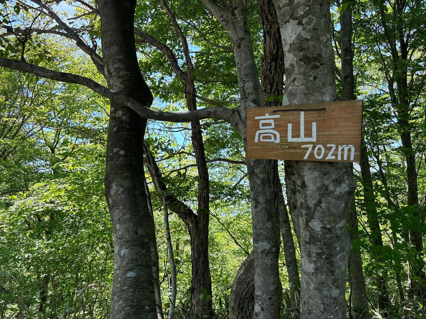 丹後半島最高峰高山登頂🙌