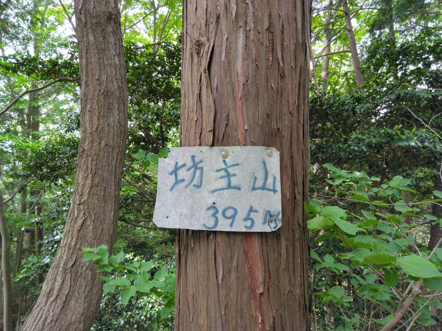 ピーク獲りつつ