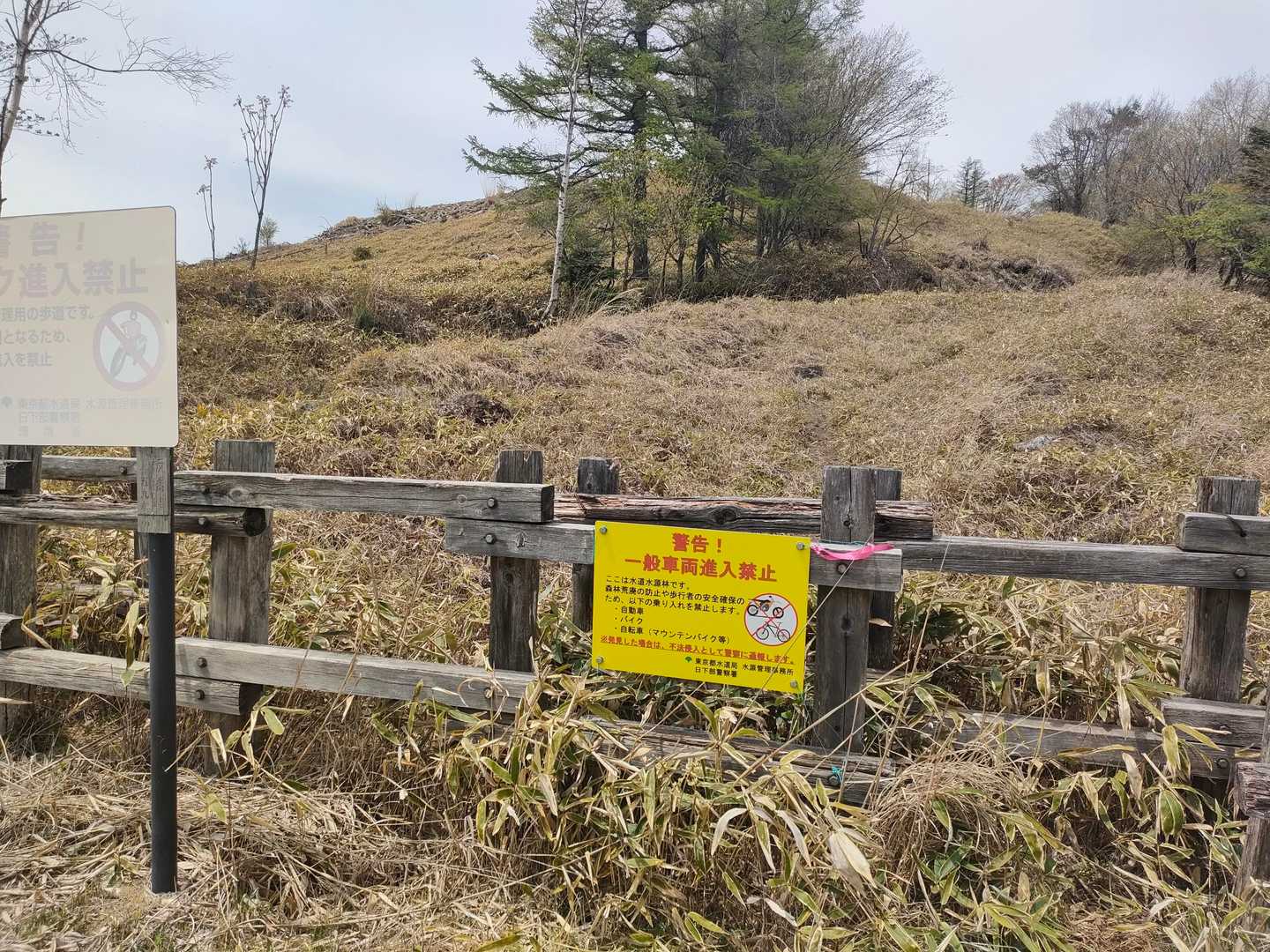 倉掛山へはここ入る(分かりにくかった)