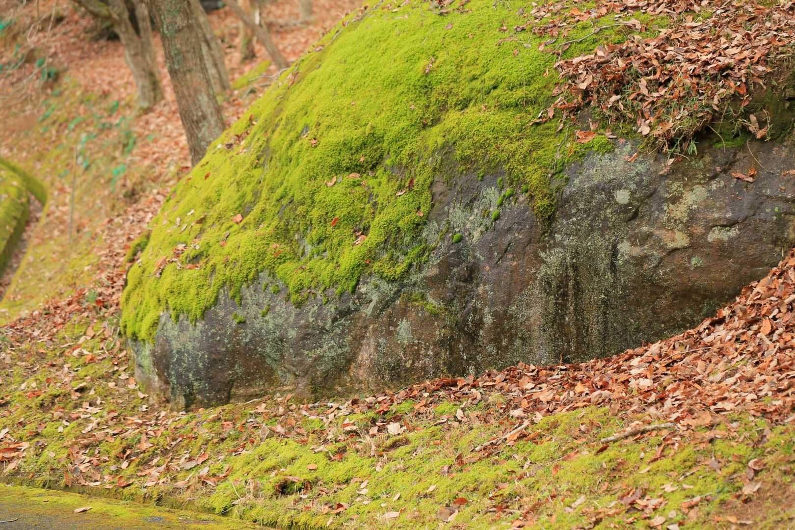 この山には、こんな大きな岩がいくつもあった。