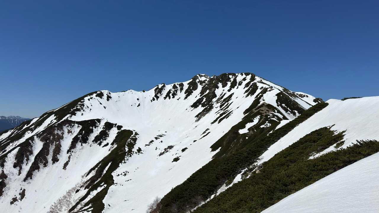 仙丈ヶ岳、残雪期テン泊 の写真 15