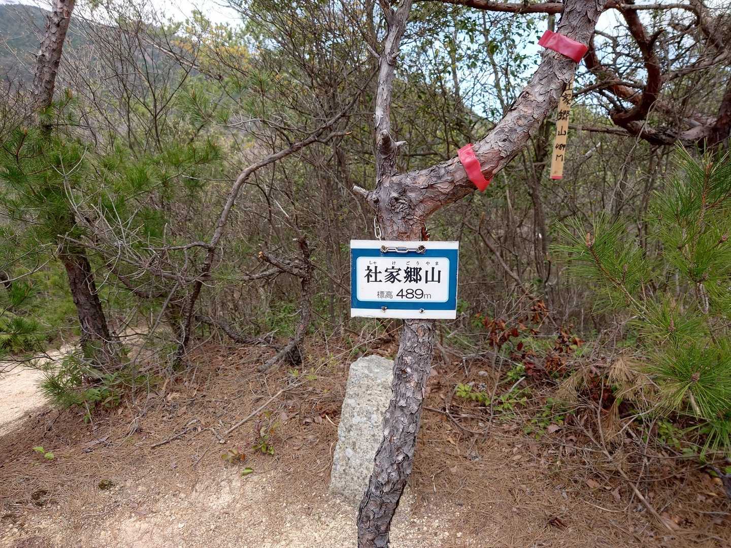 樫ヶ峰-社家郷山-行者山-行者山ハイキングコース西逆瀬台口 縦走コースの写真