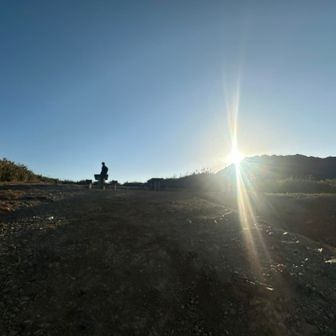 おはようsun☀️も
顔出して…🥸