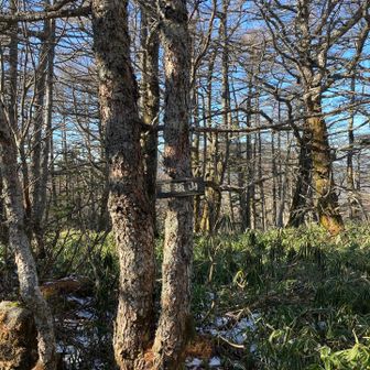 そー言えば車坂山あったね😅