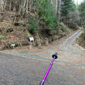 しばらくアスファルト道を歩いてきて、ここを入ります