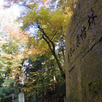 若草山・芳山・高円山 ドライブウェイはあんまりでした😅