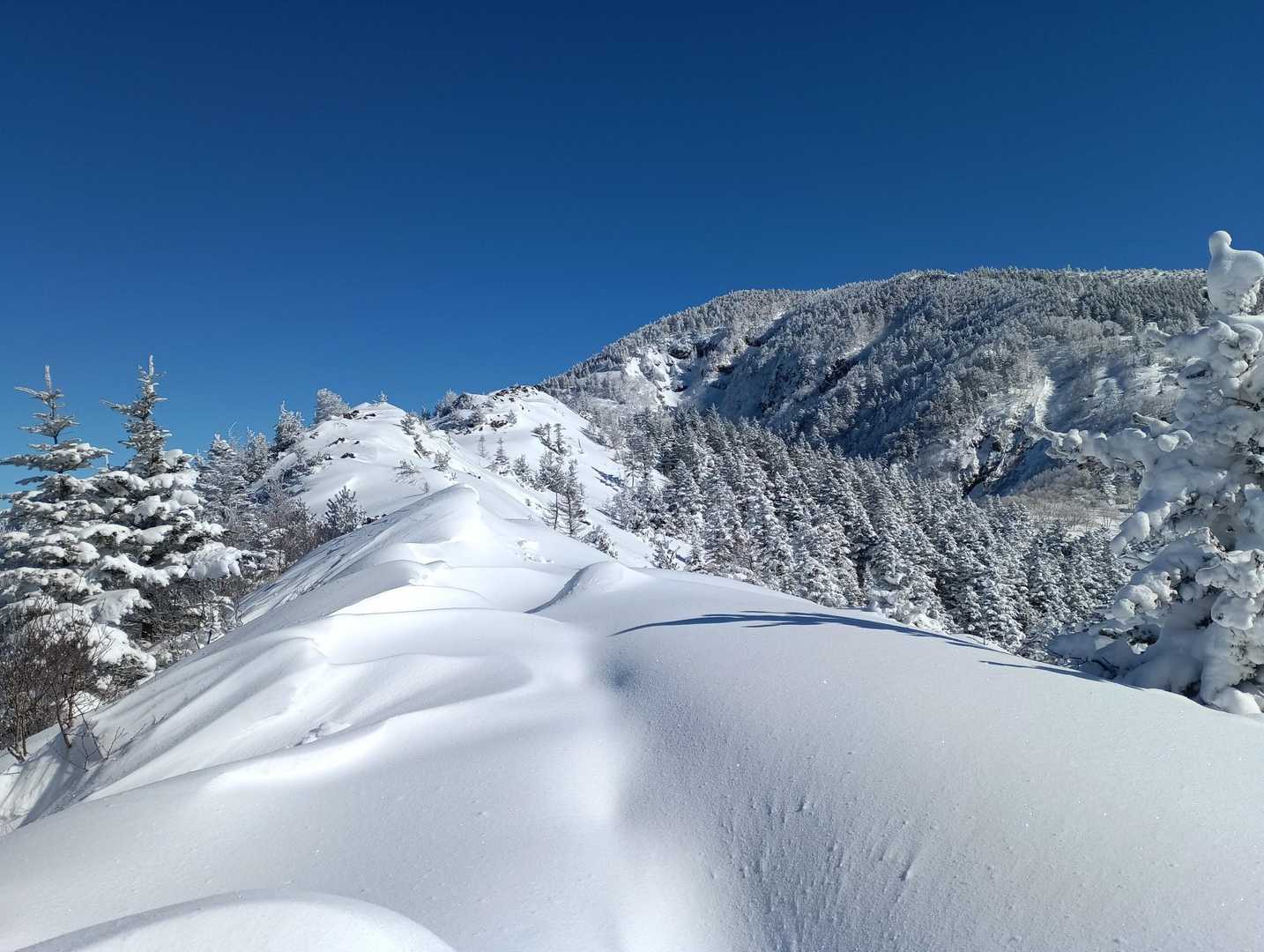 菅平牧場料金所-菅平牧場-四阿山登山口-小四阿-中四阿 往復コースの写真