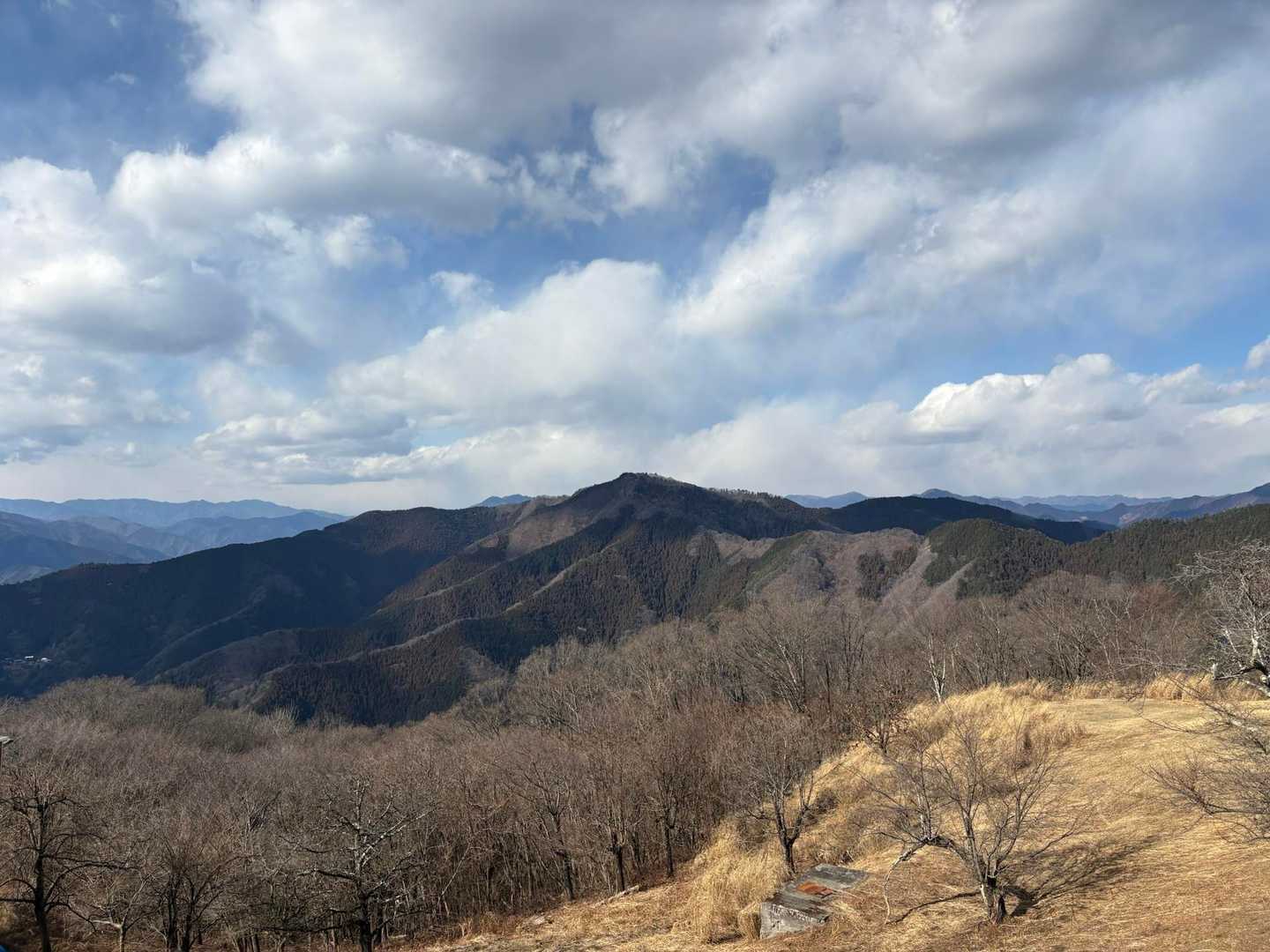 井戸バス停-軍刀利神社-茅丸-連行峰-醍醐丸-醍醐峠-和田 縦走コースの写真