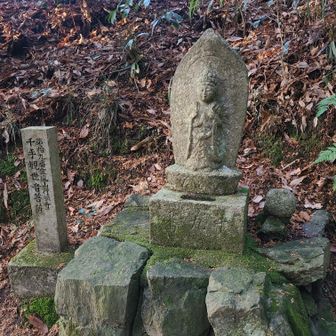 【第十九番 霊鹿山行願寺】
𑁍千手観世音菩薩さま