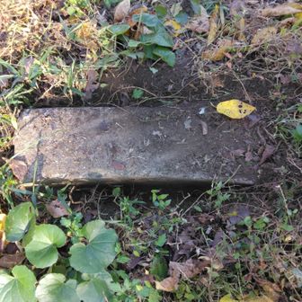 三等三角点が見つかりません、点名は日ノ隈山。割れてるとも言われていますが、大きさはこれぐらいだと思えるのだが…