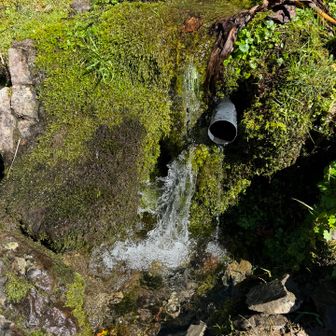 枯れてなかった！うんまい南アルプスの天然水。右のパイプから出てるほうです。