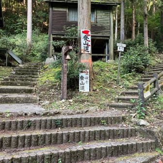 ここからスタート