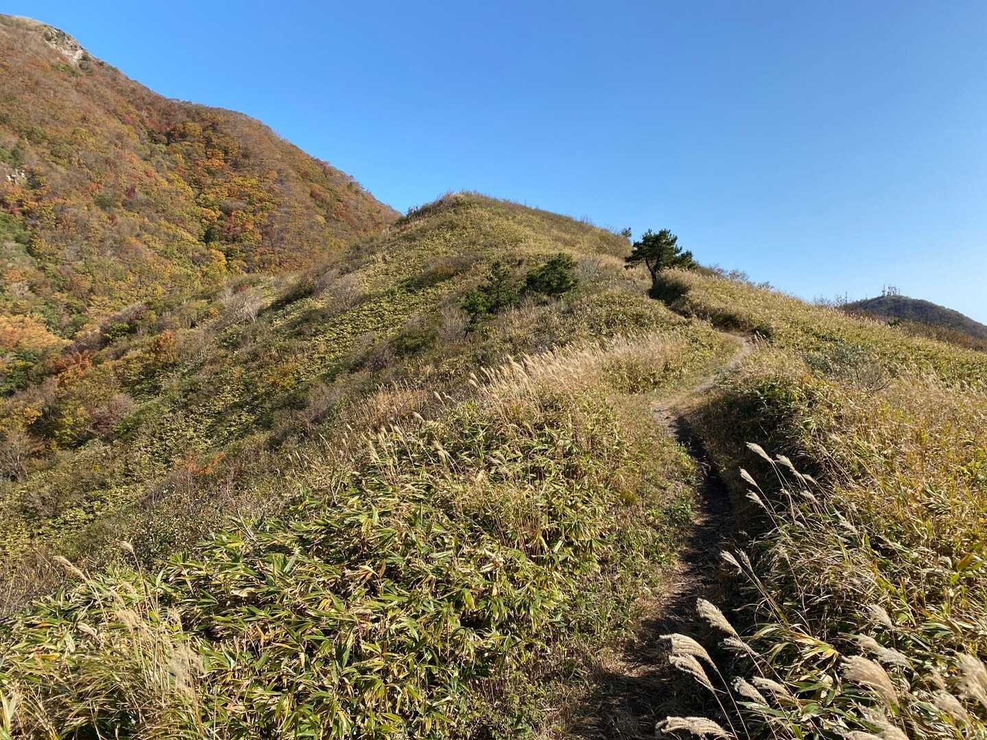 赤雁山の写真