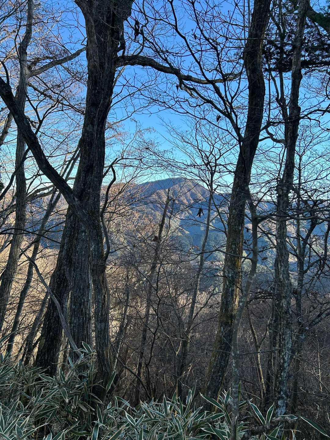 右を見れば御正体山？