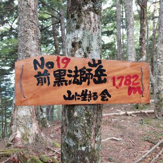 新しい山標が綺麗なのはもちろん、
ぬくもりを感じます。

人から人へ託された山標は、
水窪を愛する方々の想いが詰まってます😊
