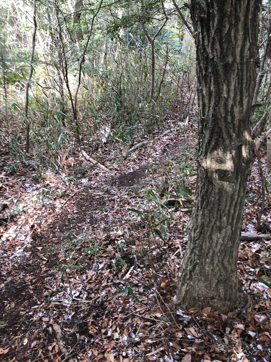 弁財天社-不動山-札立山 往復コースの写真