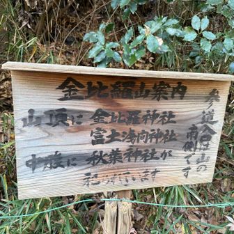 　この日唯一のピーク。
　参道入口は反対側とのことなので行かず😅

　でもタウンウォーキングといいながらちゃっかり1座ゲットしてきました😅