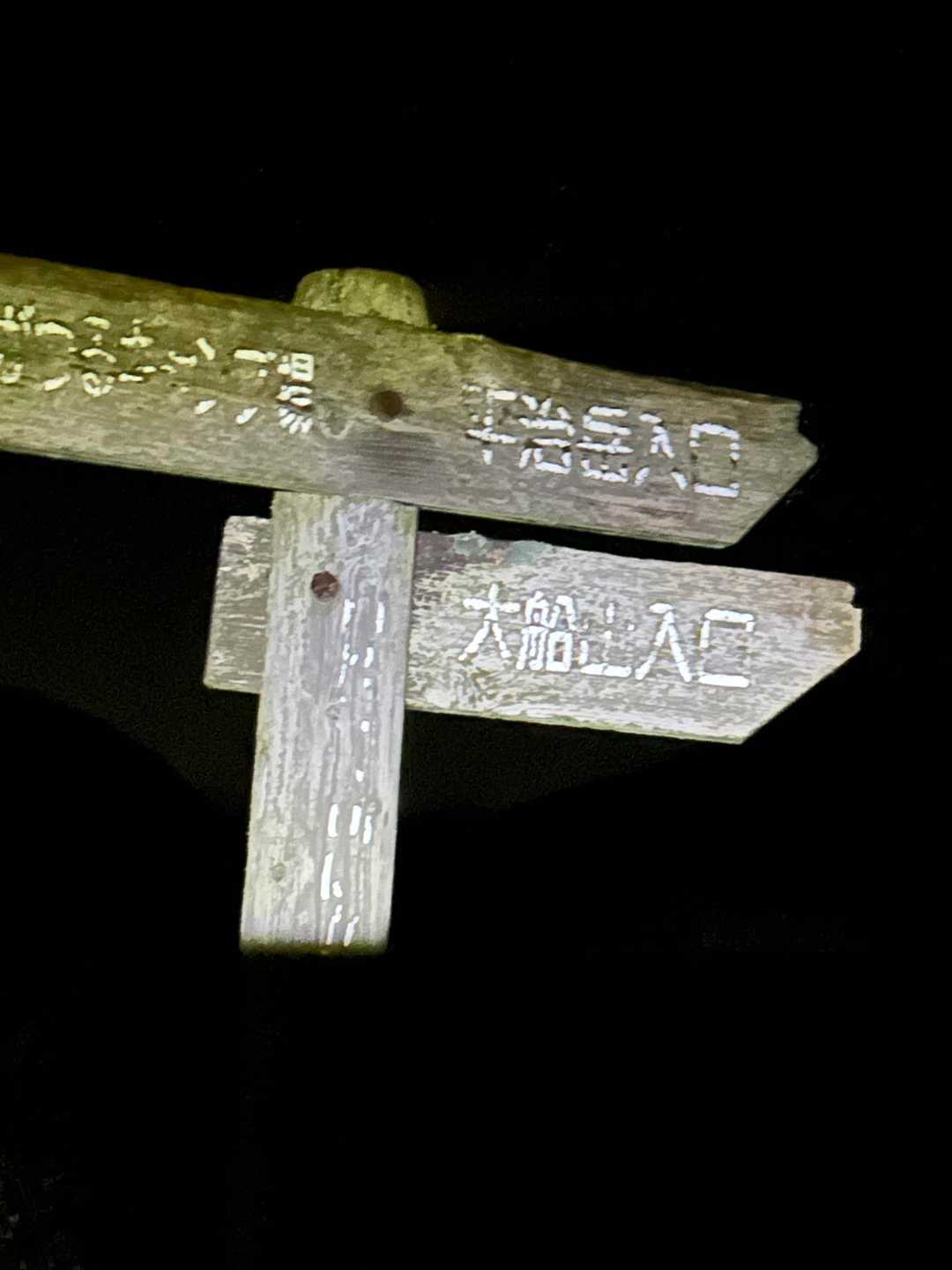 朝駆け開始