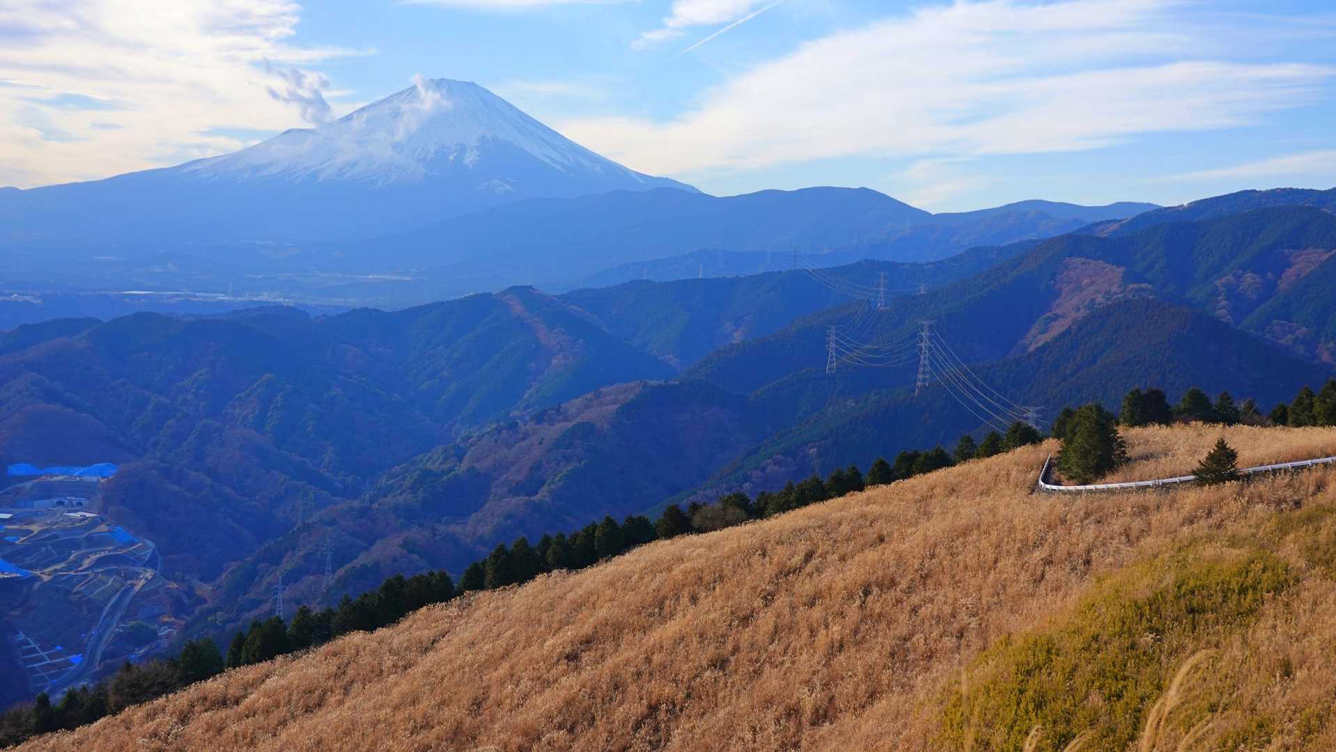 牧草地と富士山