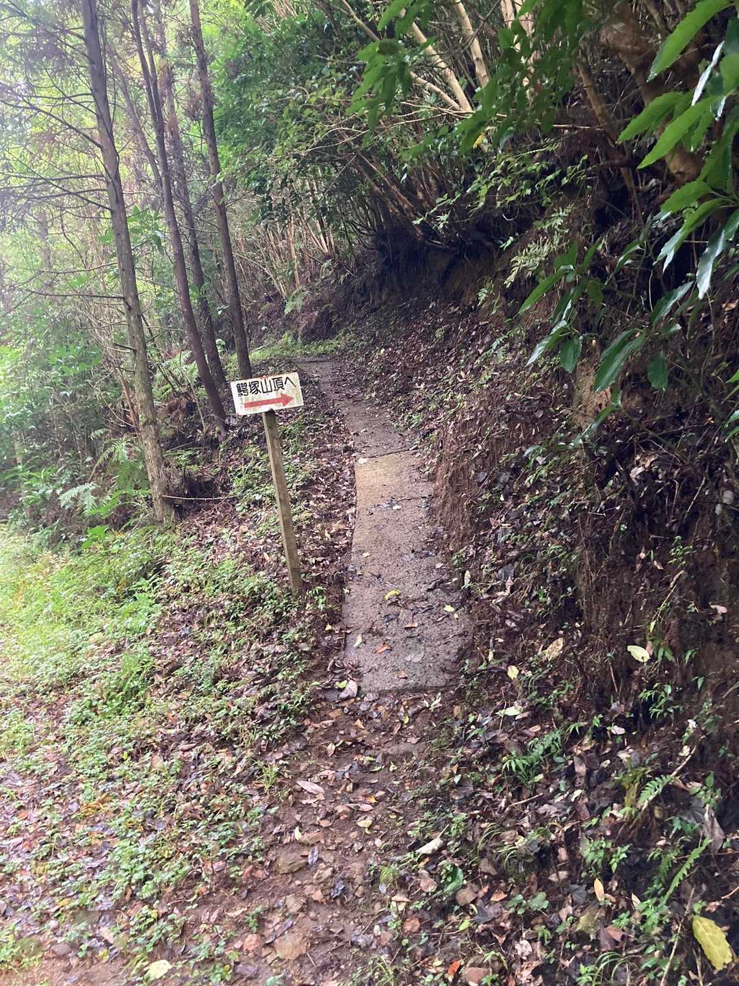 案内が沢山、分かり易い。
登り易い。
薮カキの必要なし。