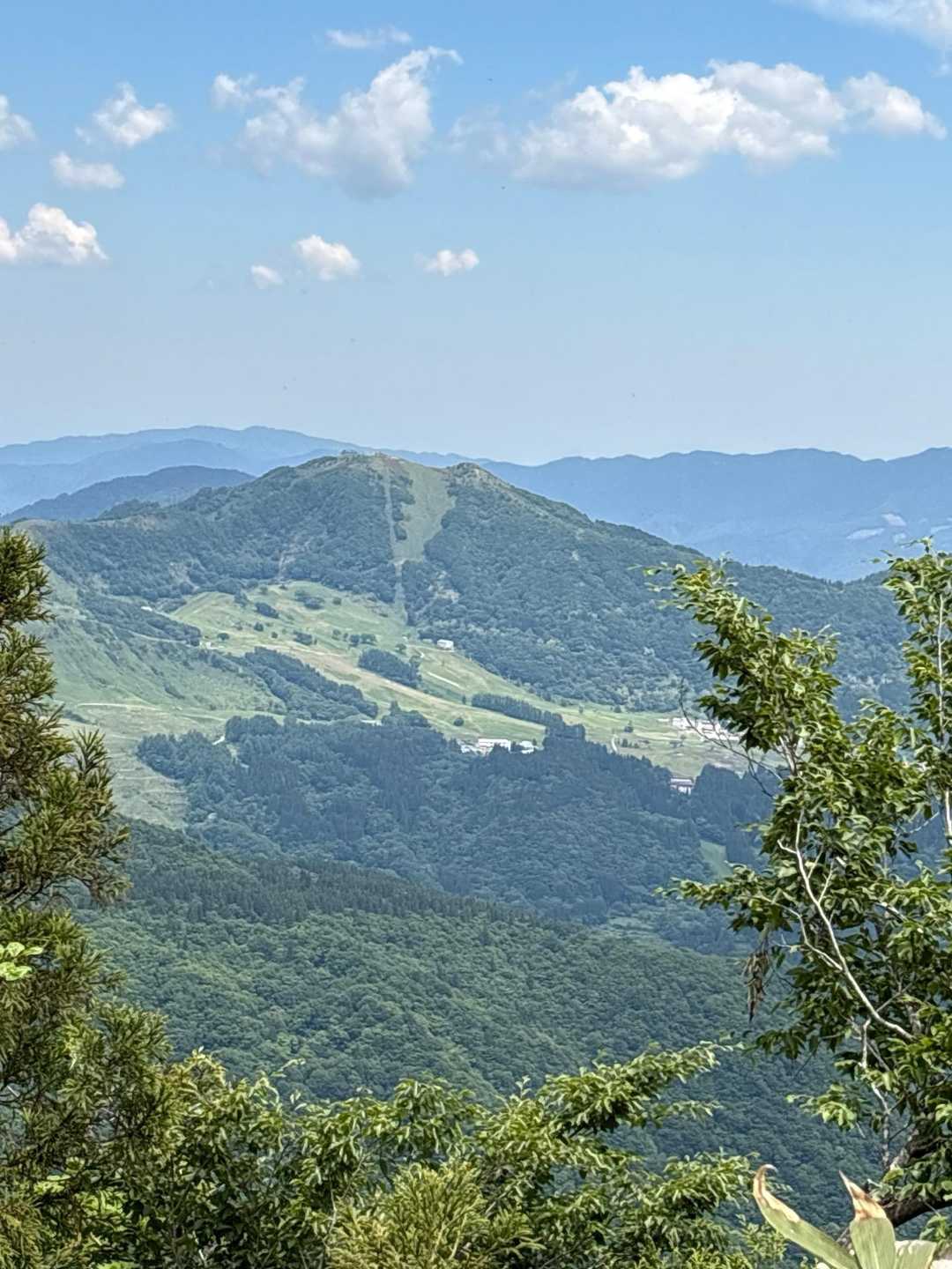 左下には鉢伏山が