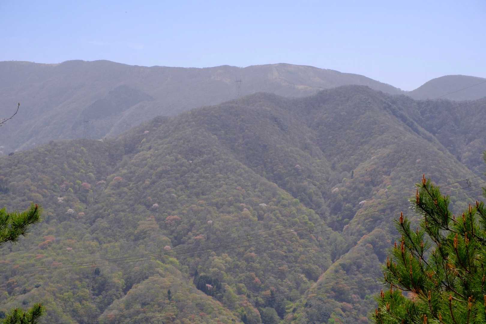 帰り道、鈴北岳山頂が見えました。
鞍掛峠方面に下山する道も見えるほど👀
