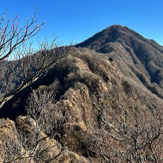 ボロボロな感じだもんねー、鋸岳。
