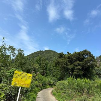 久方ぶりの「高崎山ブルー」…💙