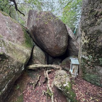 本堂の横(たぶん厳密には裏側)にある胎内くぐり。
くぐると生まれ変われるらしい。
何と？😂
10歳若返らせて欲しかったけど、
上から下に潜るのか？
下から上に潜るのか？
ネットで調べても分からんかったので前回同様に
くぐるの止めました。

ところで右奥に梯子見えるんですよね‼️ビックリ😨
これって御神体の岩の上に登るってことなのかな？
そんなことして良いのてゆーより、
それってどんな需要なのだろう？？？