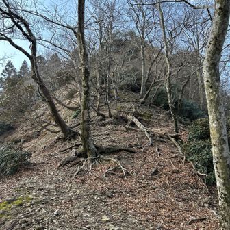 どこまで続くのかねー、ふくらはぎが悲鳴をあげそうだけどー😂