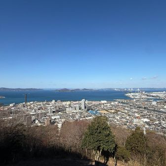 パノラマビューです✨