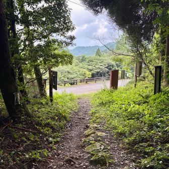 下山してきました。