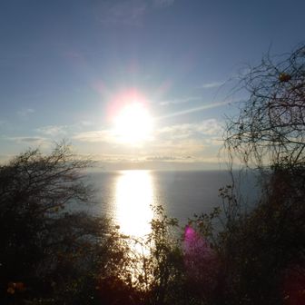 伊豆方面も見えた