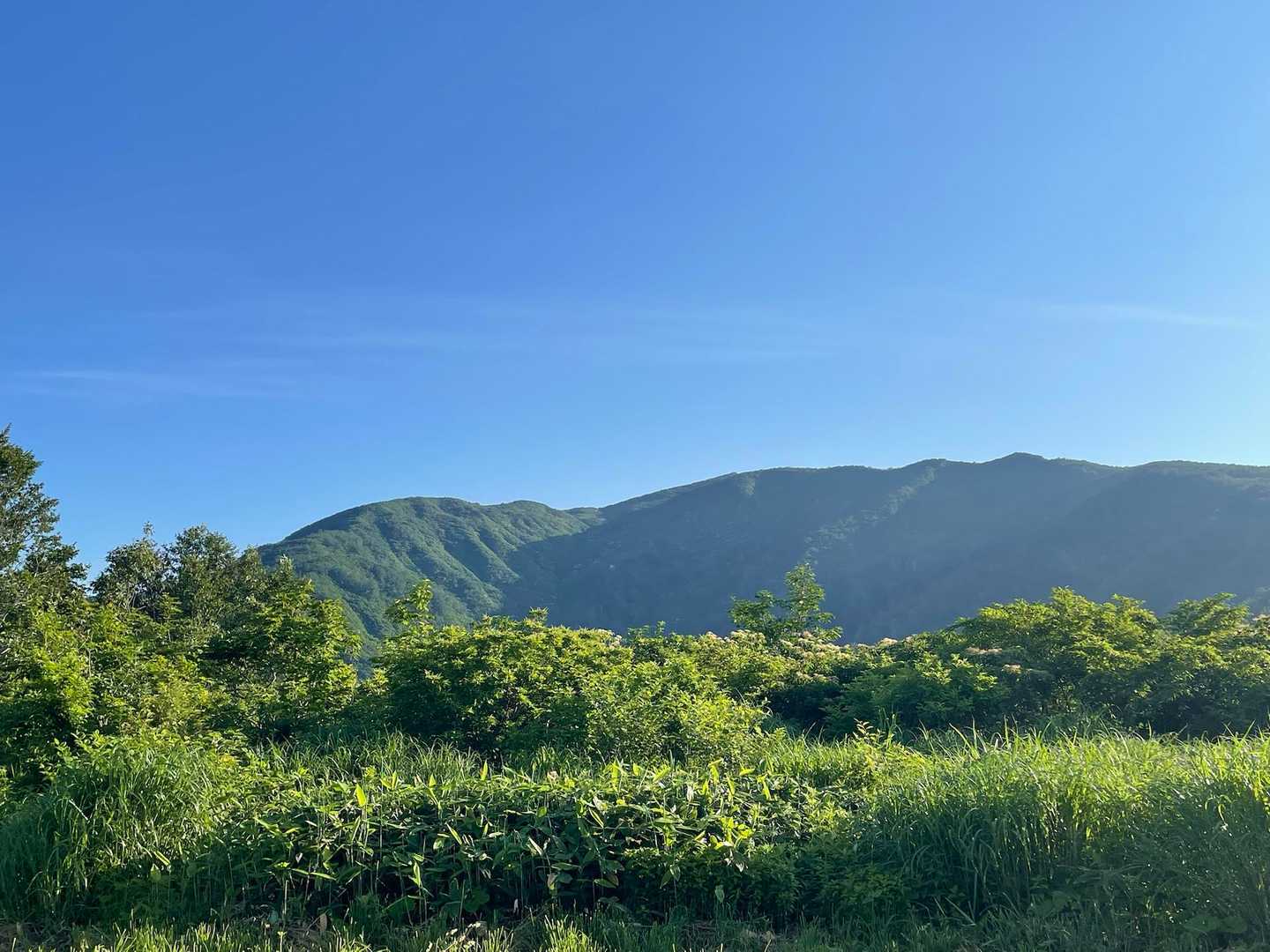 それにしてもいい天気☀️