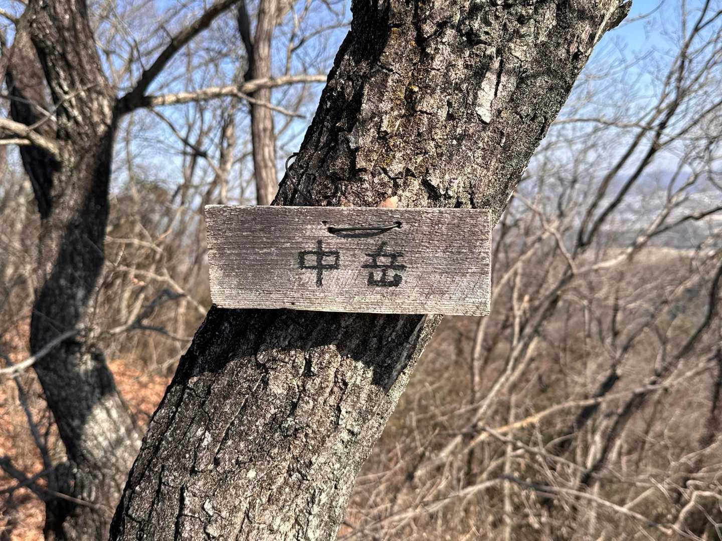 大坊山-越床峠-妙義山 周回コースの写真