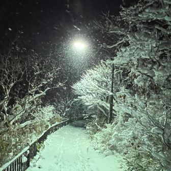 北海道では普通にどこでも樹氷霧氷が見れます❄️