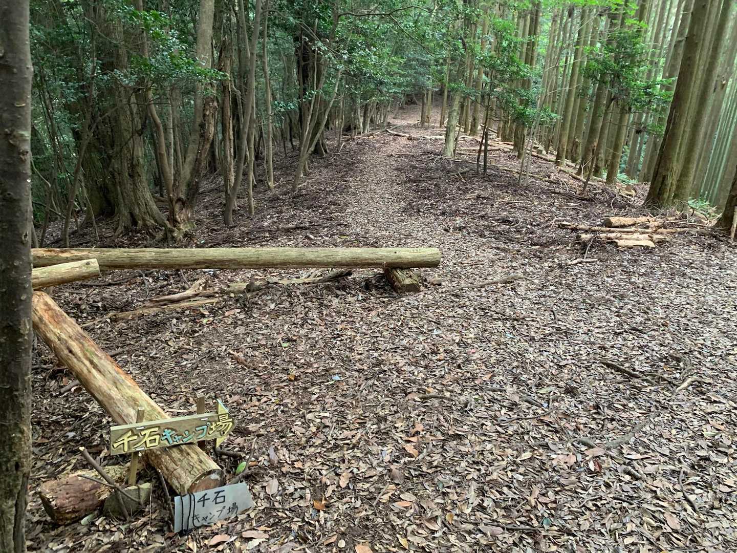 先程の分岐を直進