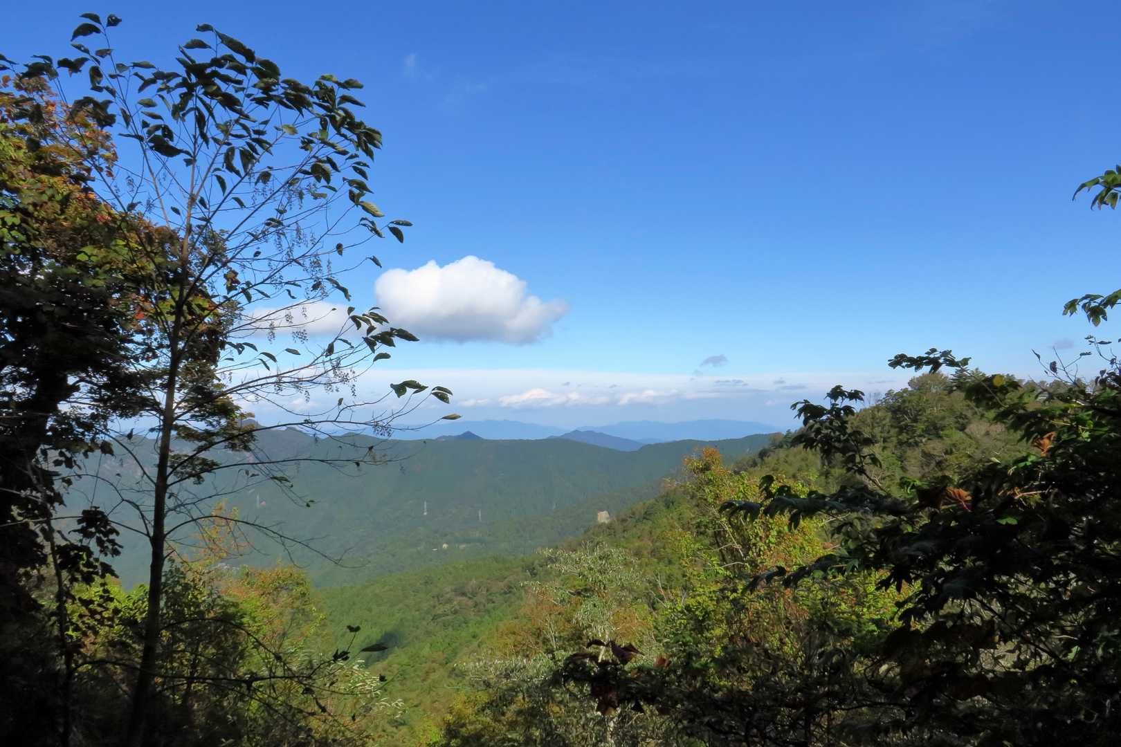 赤帽子山 往復コースの写真