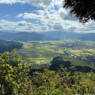 そろそろ稲刈り🌾が始まるのかなぁ。