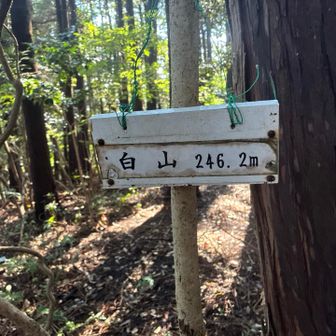 白山