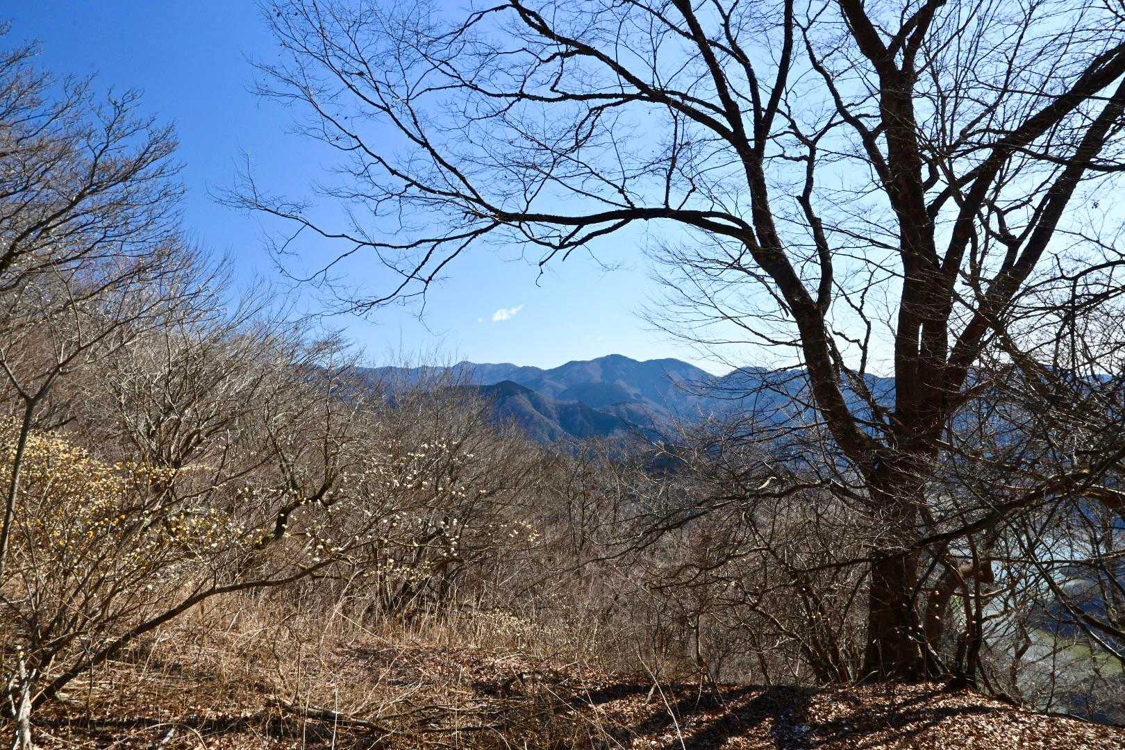 尾根からは、丹沢の主稜が見える。