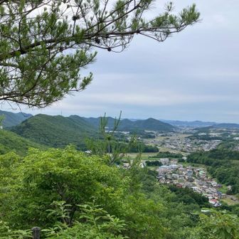 芥見権現山からの景色