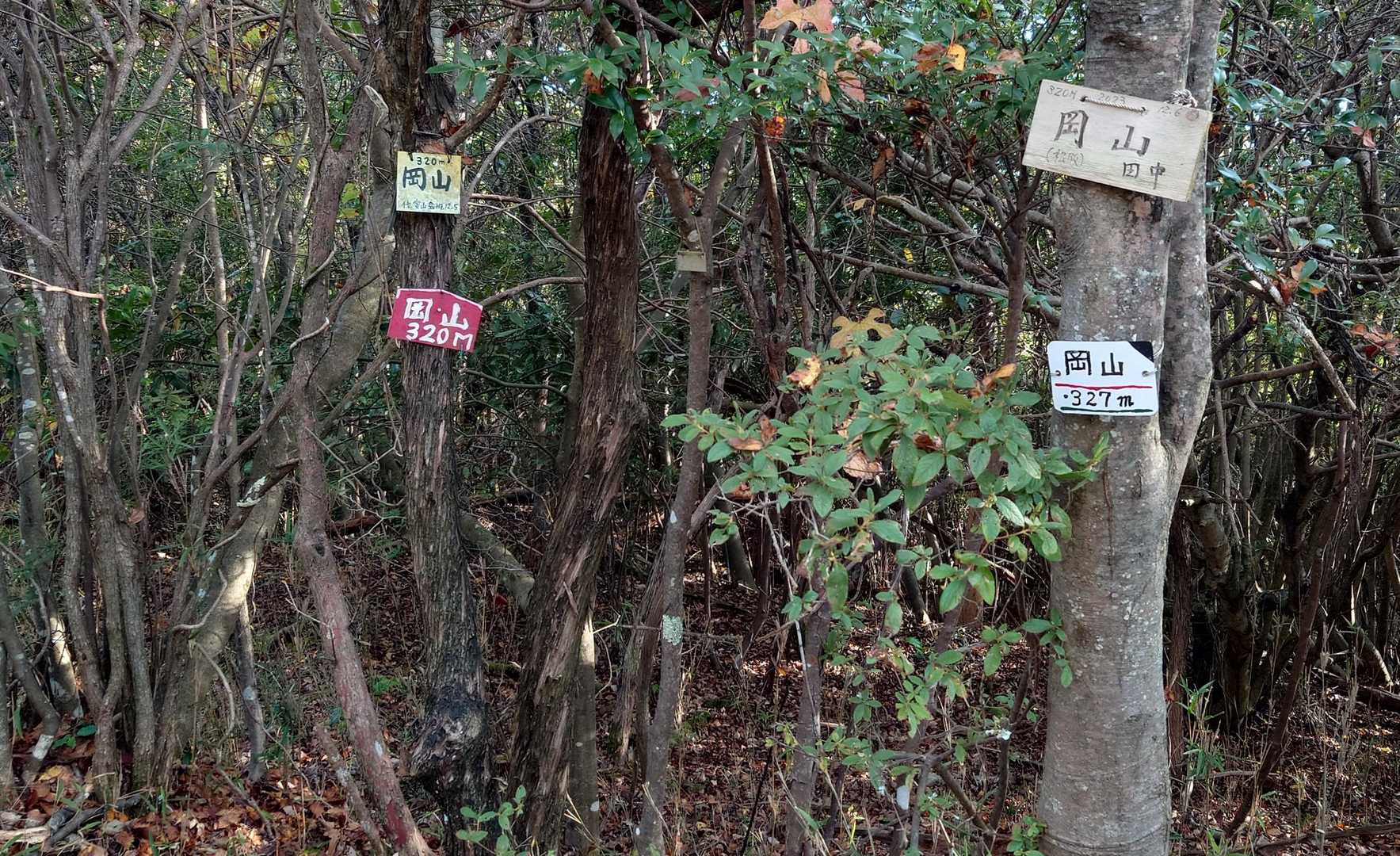 岡山の頂上です。