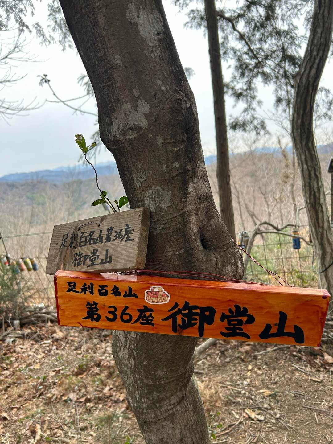 御堂山山頂