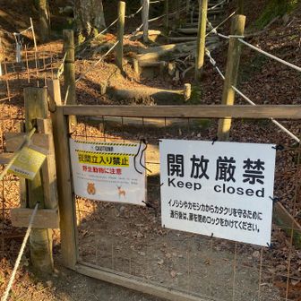 そりゃいるわなー