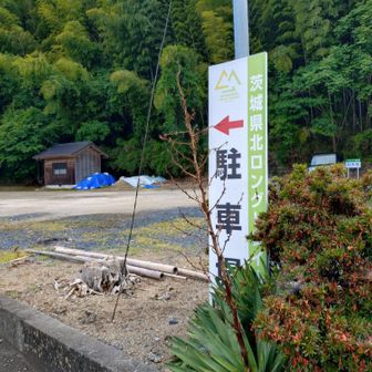 ありがたいですね。駐車場奇麗だし広い。