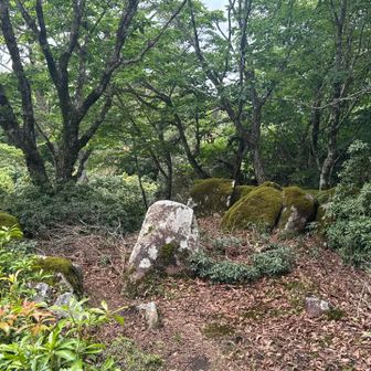 こんな感じ〜