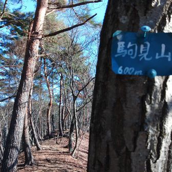 ほぇ～☺️駒見山