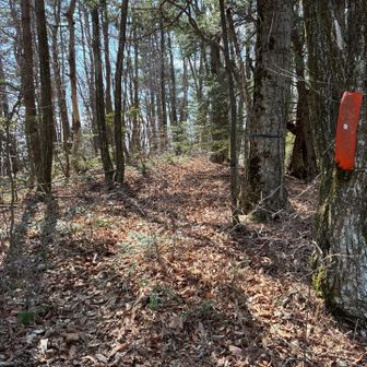 駒沢山で折り返します